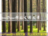 WordPress群站发布文章（有没有发文章的群）