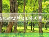 极致CMS群站发布文章（已群发的文章怎样加原创）