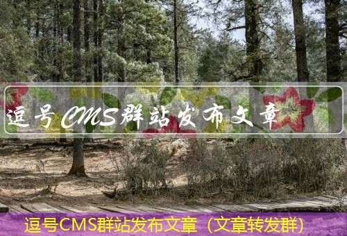 逗号CMS