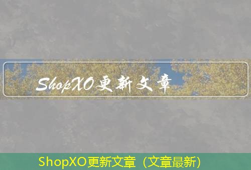 ShopXO