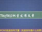 TWCMS批量发布文章（批量发布是什么意思）