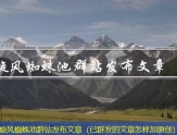 赞片CMS文章发布器（文章发布软件）