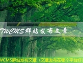 TWCMS群站发布文章（文章发布在哪个平台好）