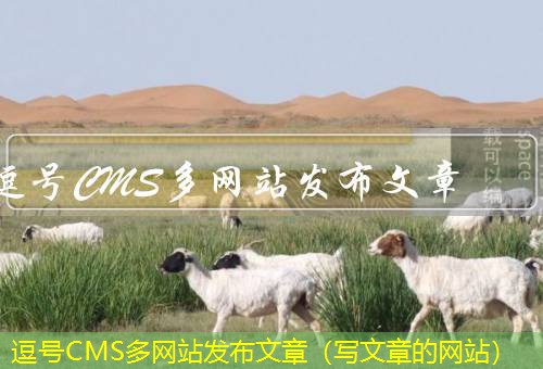 逗号CMS