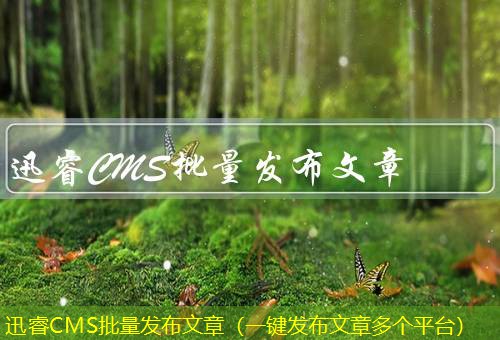 迅睿CMS