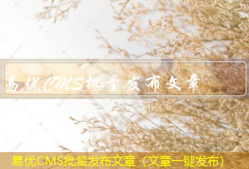 易优CMS