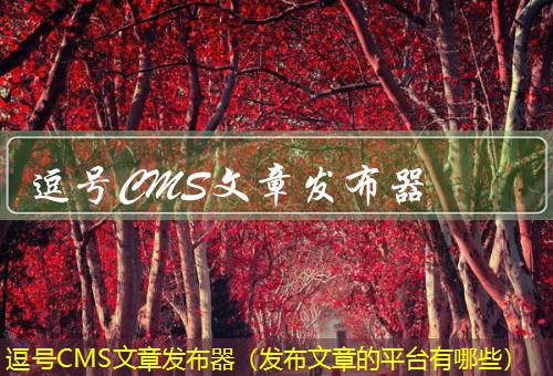 逗号CMS