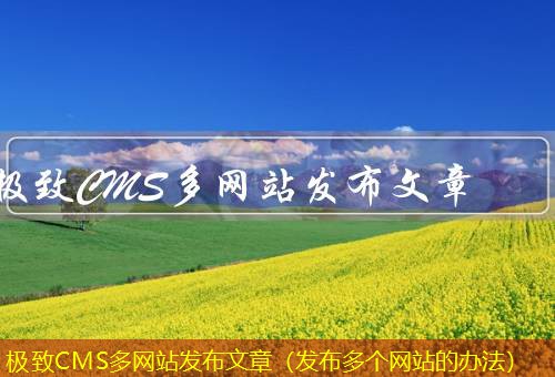 极致CMS