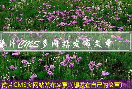 赞片CMS